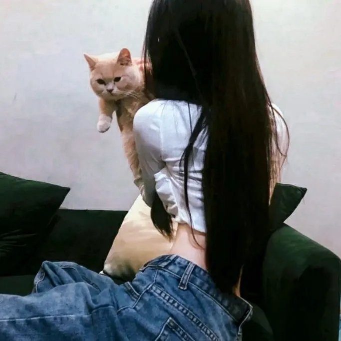 机智牢房生活