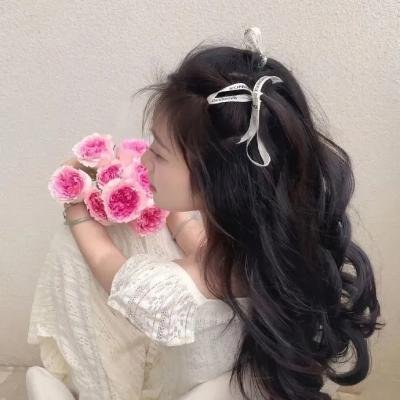 探长拉瓦丁
